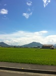 20100811O.JPG