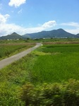 20100811dԂO.JPG